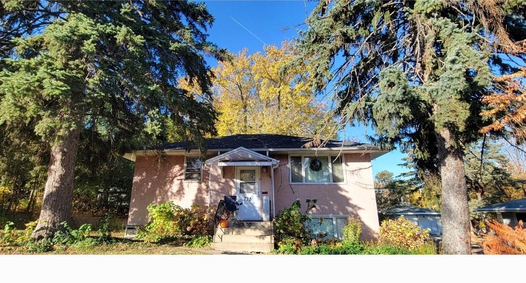 View of Residential Income at 725-727 Hall Avenue, Saint Paul MN 55107, Saint Paul - Mike Wilen | Minnesota Team Real Estate