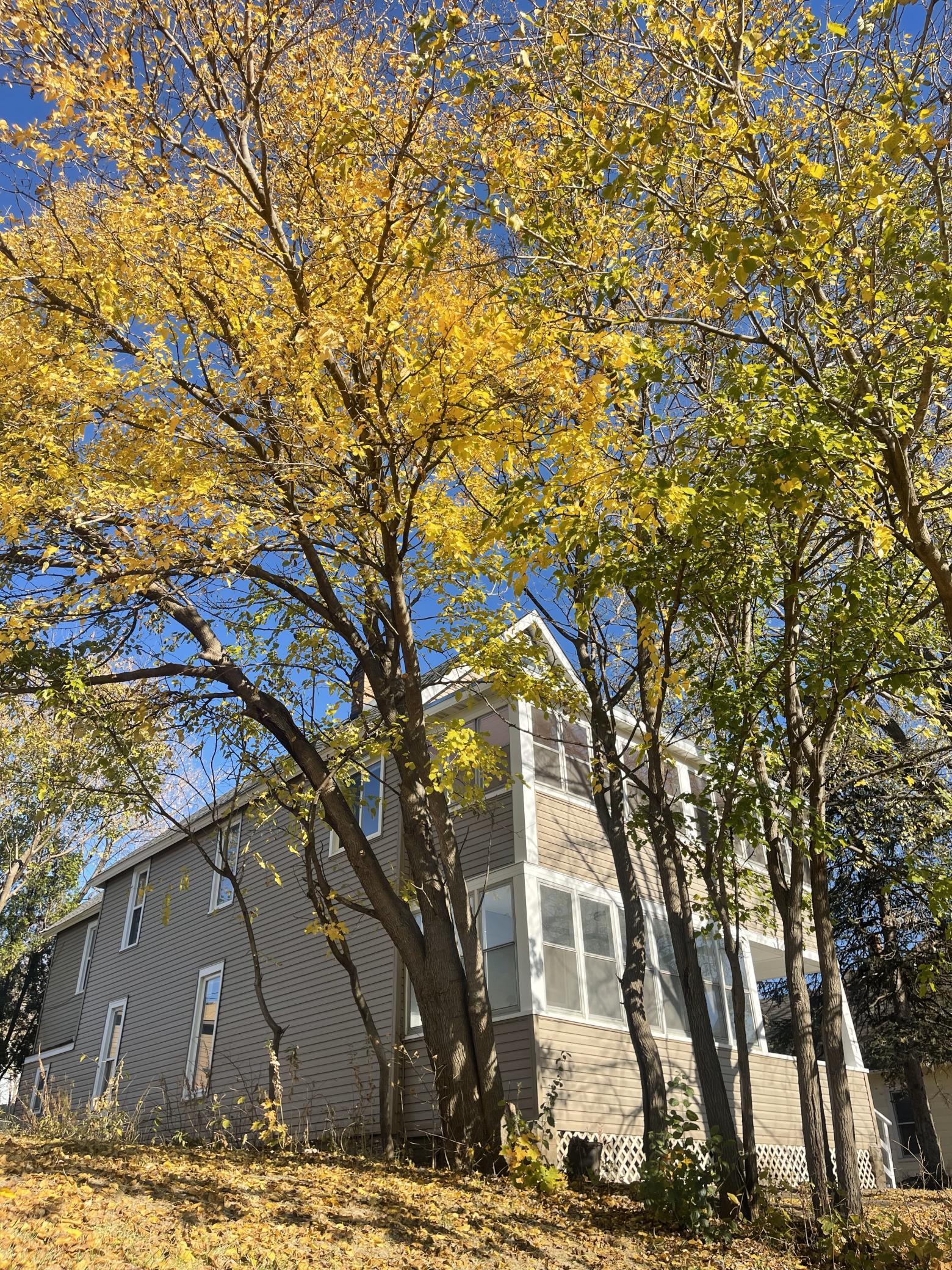 View of Residential Income at 341 Stinson Street, Saint Paul MN 55117, Saint Paul - Mike Wilen | Minnesota Team Real Estate