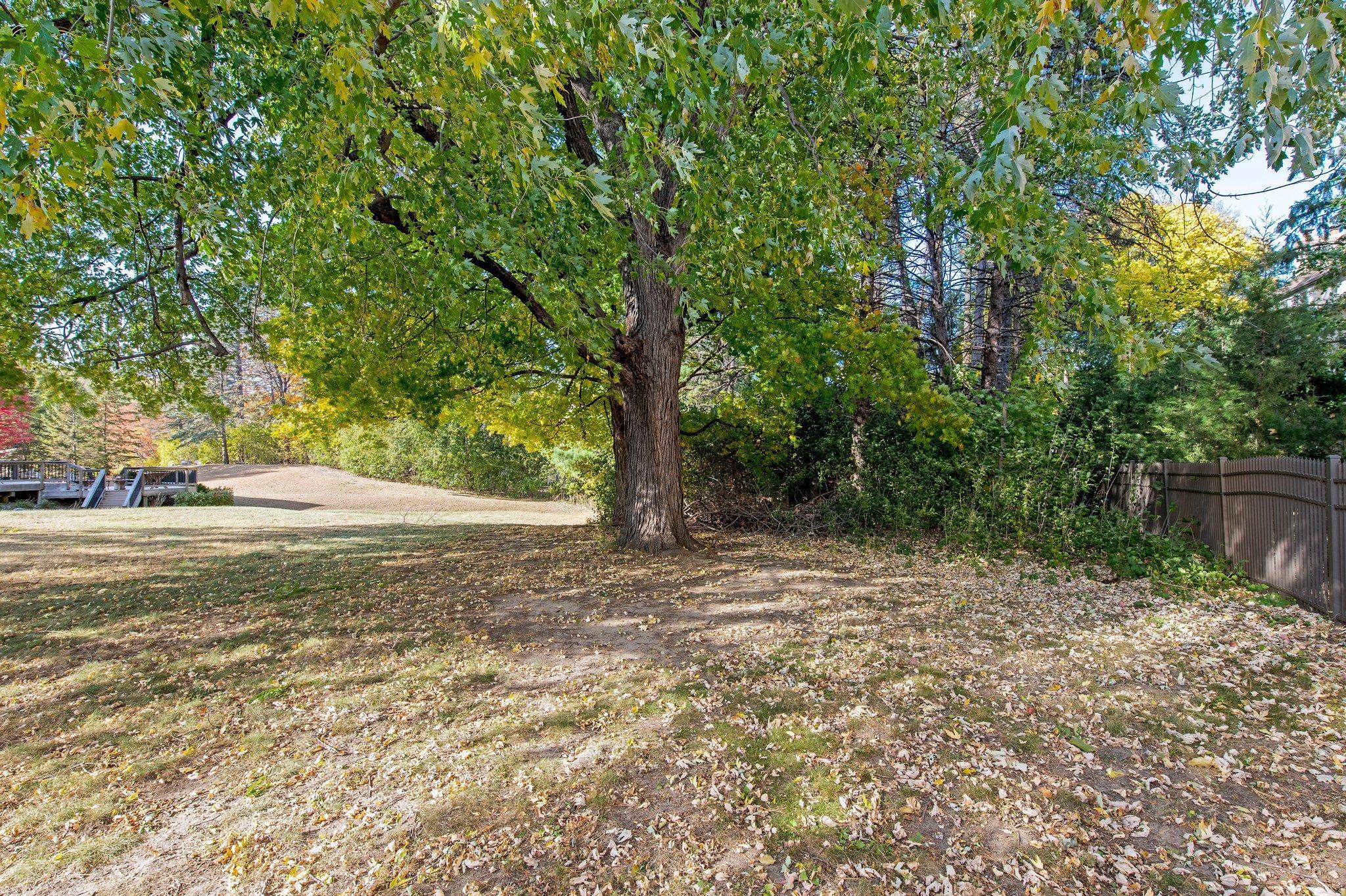 View of Land at TBD 78th Street, Edina MN 55439, Edina (19 of 20) - Mike Wilen | Minnesota Team Real Estate