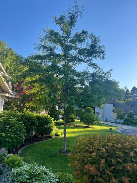 View of Land at 912 Adeline Court, Mendota Heights MN 55118, Mendota Heights - Mike Wilen | Minnesota Team Real Estate