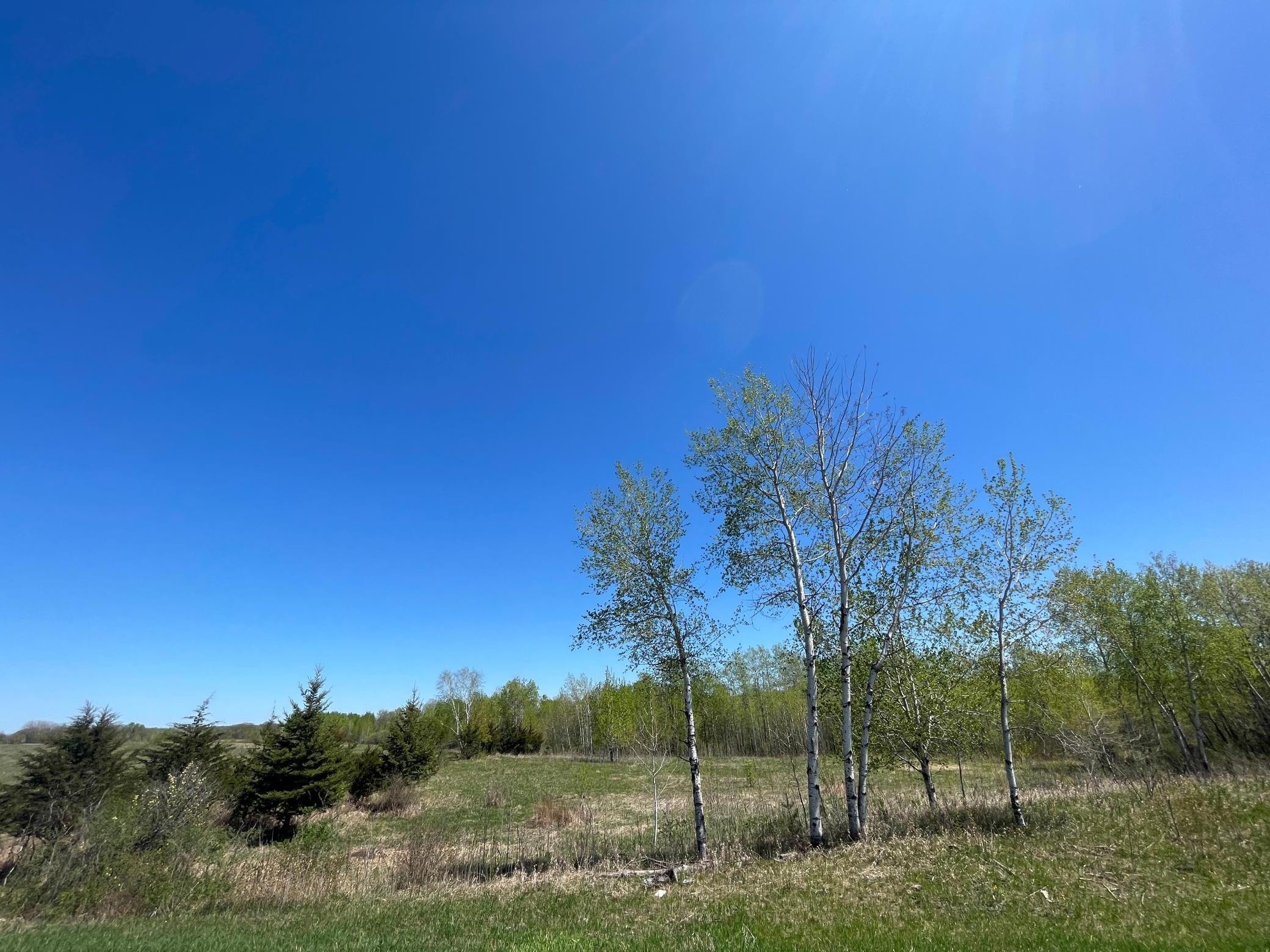 View of Land at 408xx Tiger Street, Milaca MN 56353, Milaca - Mike Wilen | Minnesota Team Real Estate
