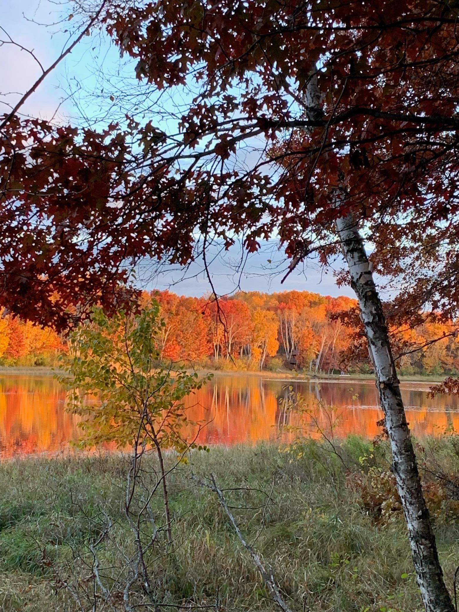 View of Land at XXX Dahlia Court, Isanti MN 55040, Isanti - Mike Wilen | Minnesota Team Real Estate