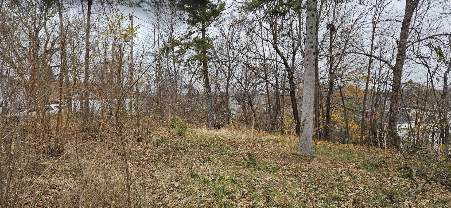 View of Land at 791 York Avenue, Saint Paul MN 55106, Saint Paul - Mike Wilen | Minnesota Team Real Estate