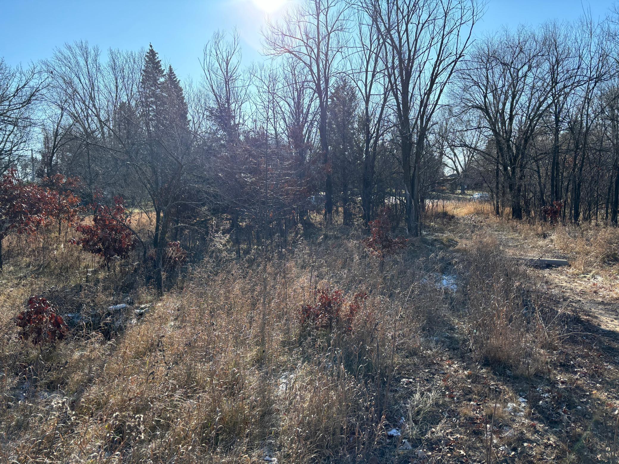 View of Land at 199 High Drive, Sartell MN 56377, Sartell (4 of 6) - Mike Wilen | Minnesota Team Real Estate