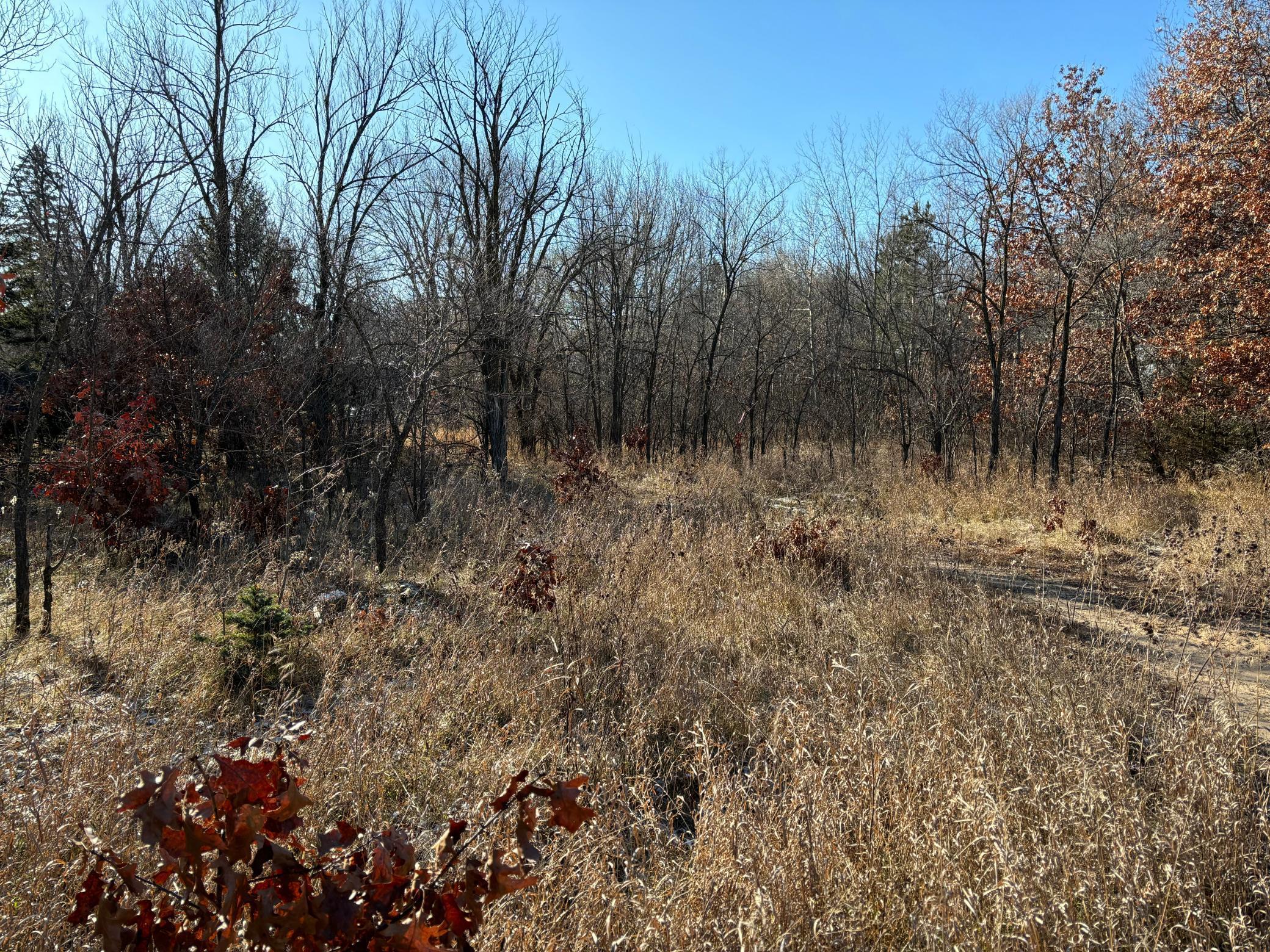 View of Land at 199 High Drive, Sartell MN 56377, Sartell (3 of 6) - Mike Wilen | Minnesota Team Real Estate