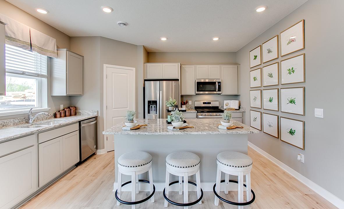 View of Residential at 12682 Fraizer Street, Blaine MN 55449, Blaine - Mike Wilen | Minnesota Team Real Estate
