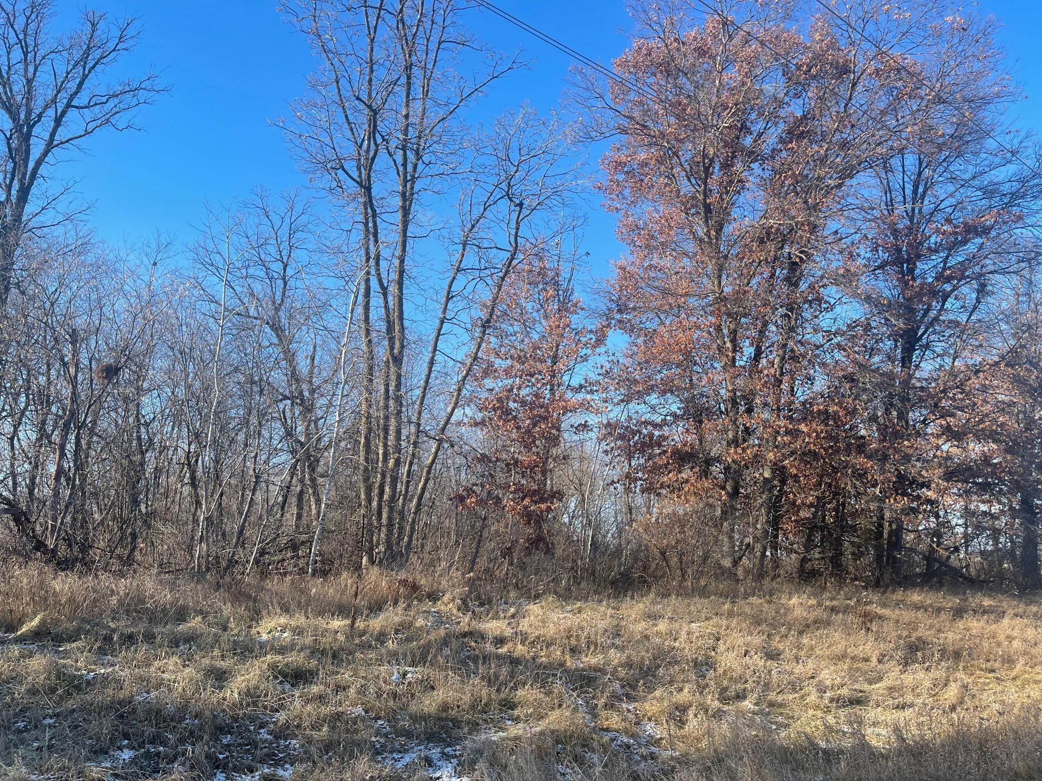 View of Land at 5847 450th Street, Harris MN 55032, Harris - Mike Wilen | Minnesota Team Real Estate