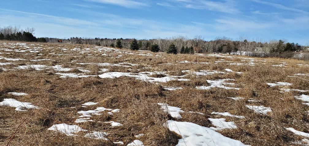 View of Land at TBD Paul's Lake Rd S, Cambridge MN 55008, Cambridge (3 of 3) - Mike Wilen | Minnesota Team Real Estate