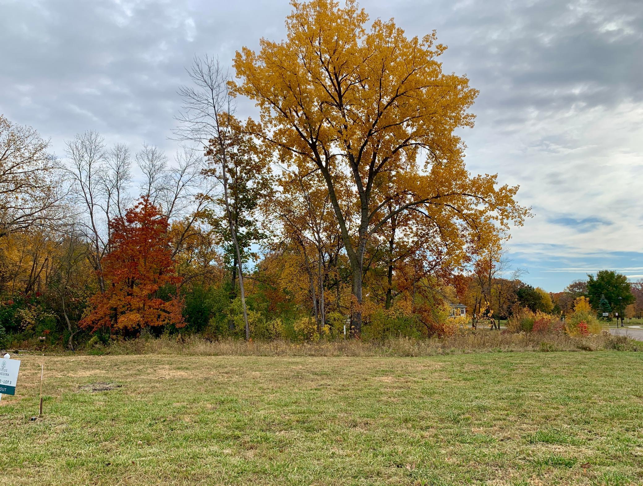 View of Land at 4400 Poppy Drive, Medina MN 55340, Medina (2 of 2) - Mike Wilen | Minnesota Team Real Estate