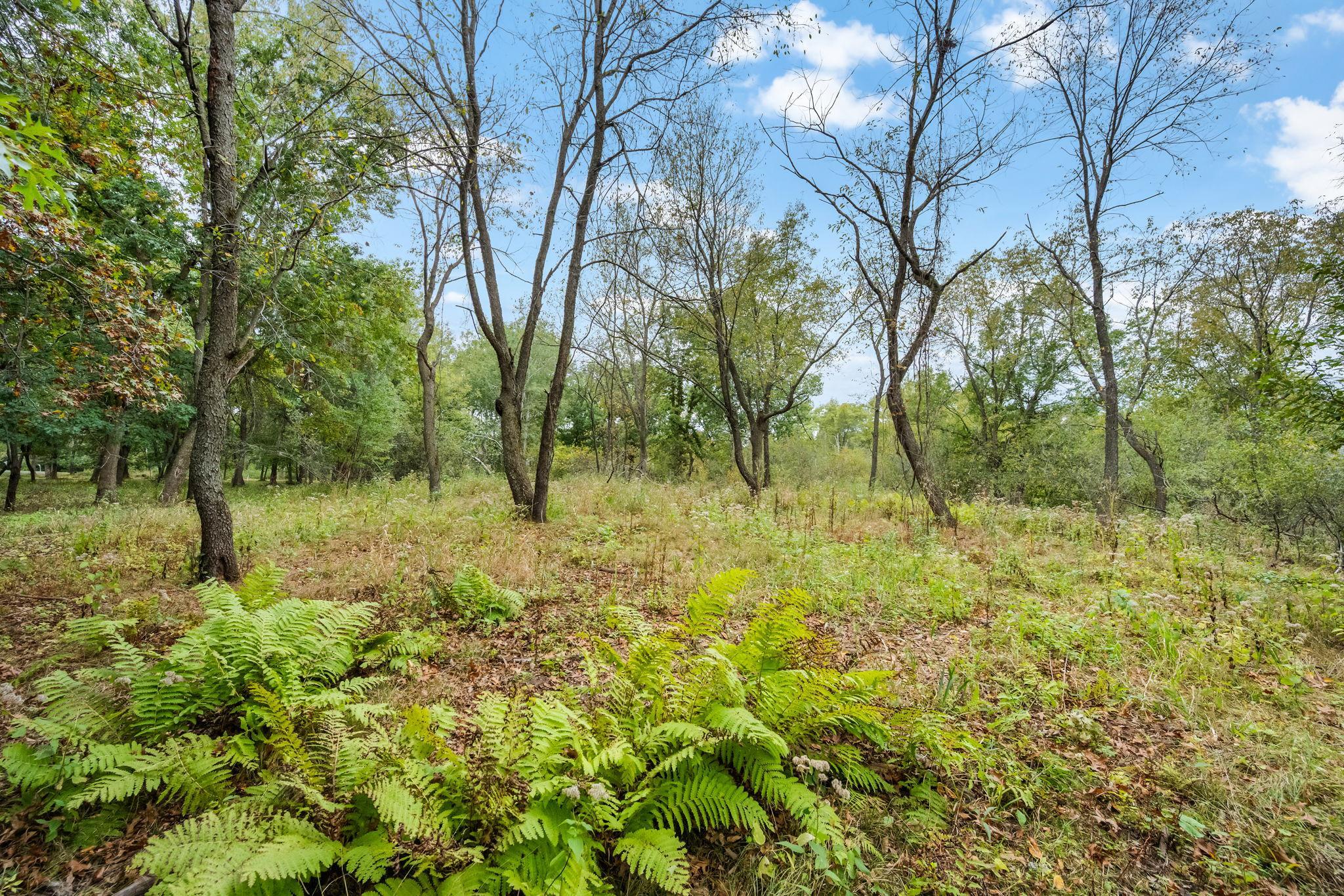 View of Land at 56XX Heather Ridge Court, Shoreview MN 55126, Shoreview (24 of 25) - Mike Wilen | Minnesota Team Real Estate