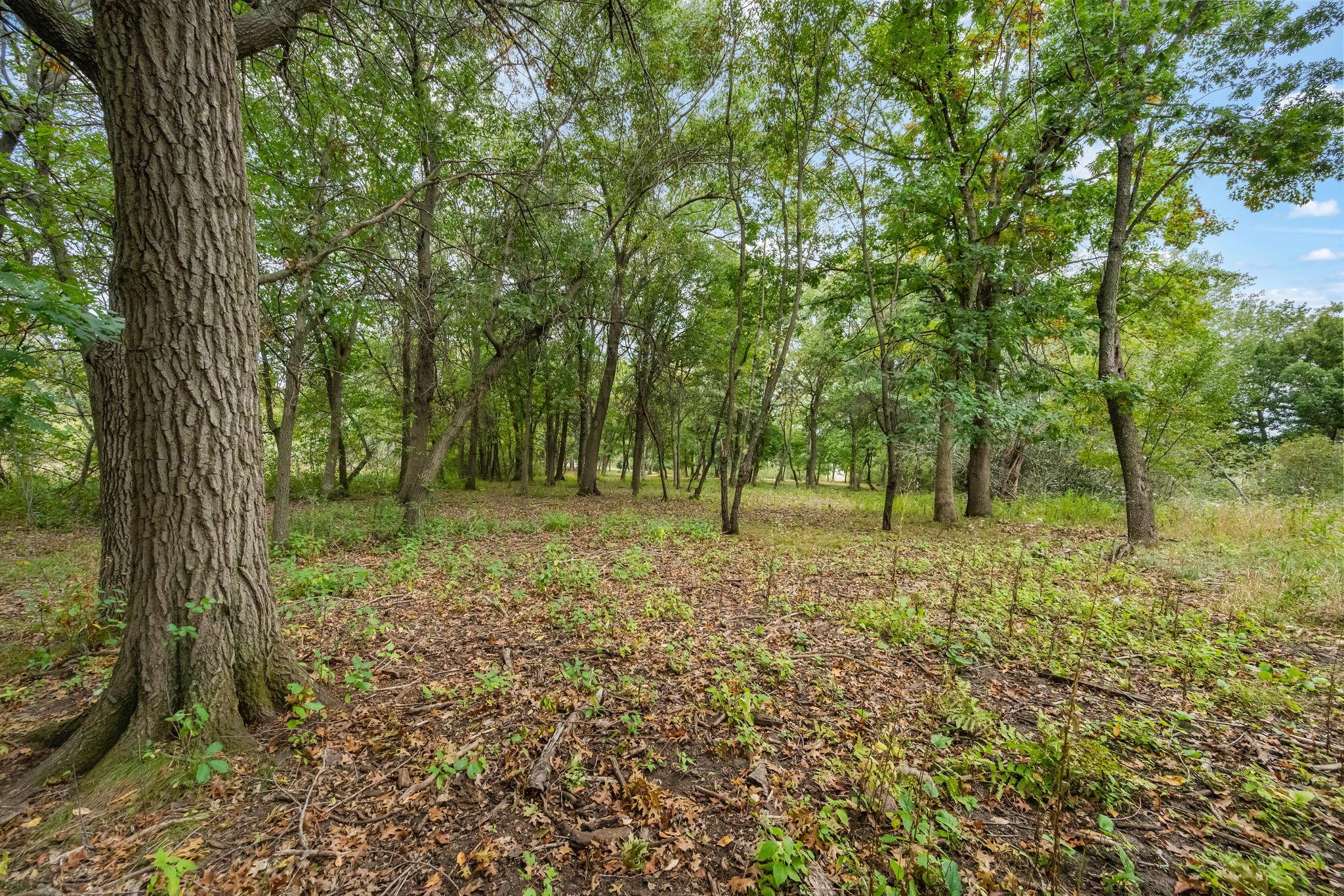 View of Land at 56XX Heather Ridge Court, Shoreview MN 55126, Shoreview (23 of 25) - Mike Wilen | Minnesota Team Real Estate