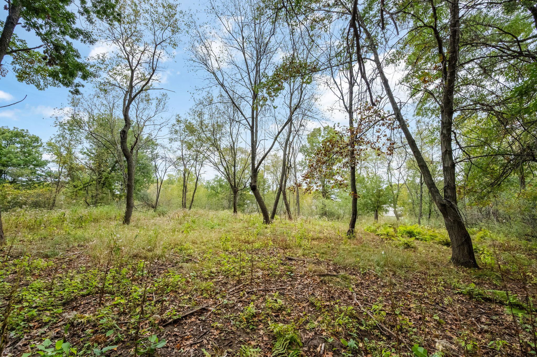 View of Land at 56XX Heather Ridge Court, Shoreview MN 55126, Shoreview (22 of 25) - Mike Wilen | Minnesota Team Real Estate