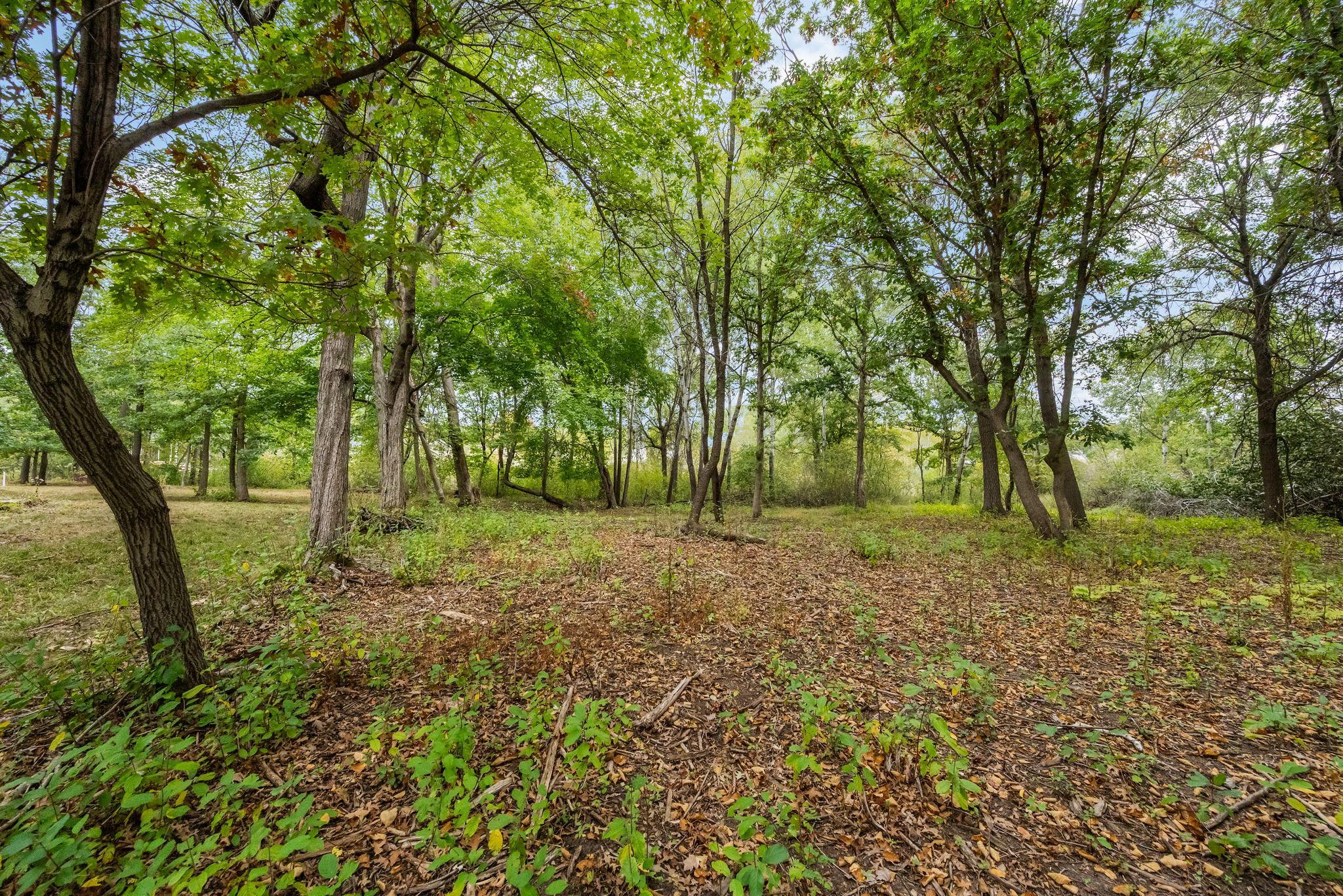 View of Land at 56XX Heather Ridge Court, Shoreview MN 55126, Shoreview (20 of 25) - Mike Wilen | Minnesota Team Real Estate