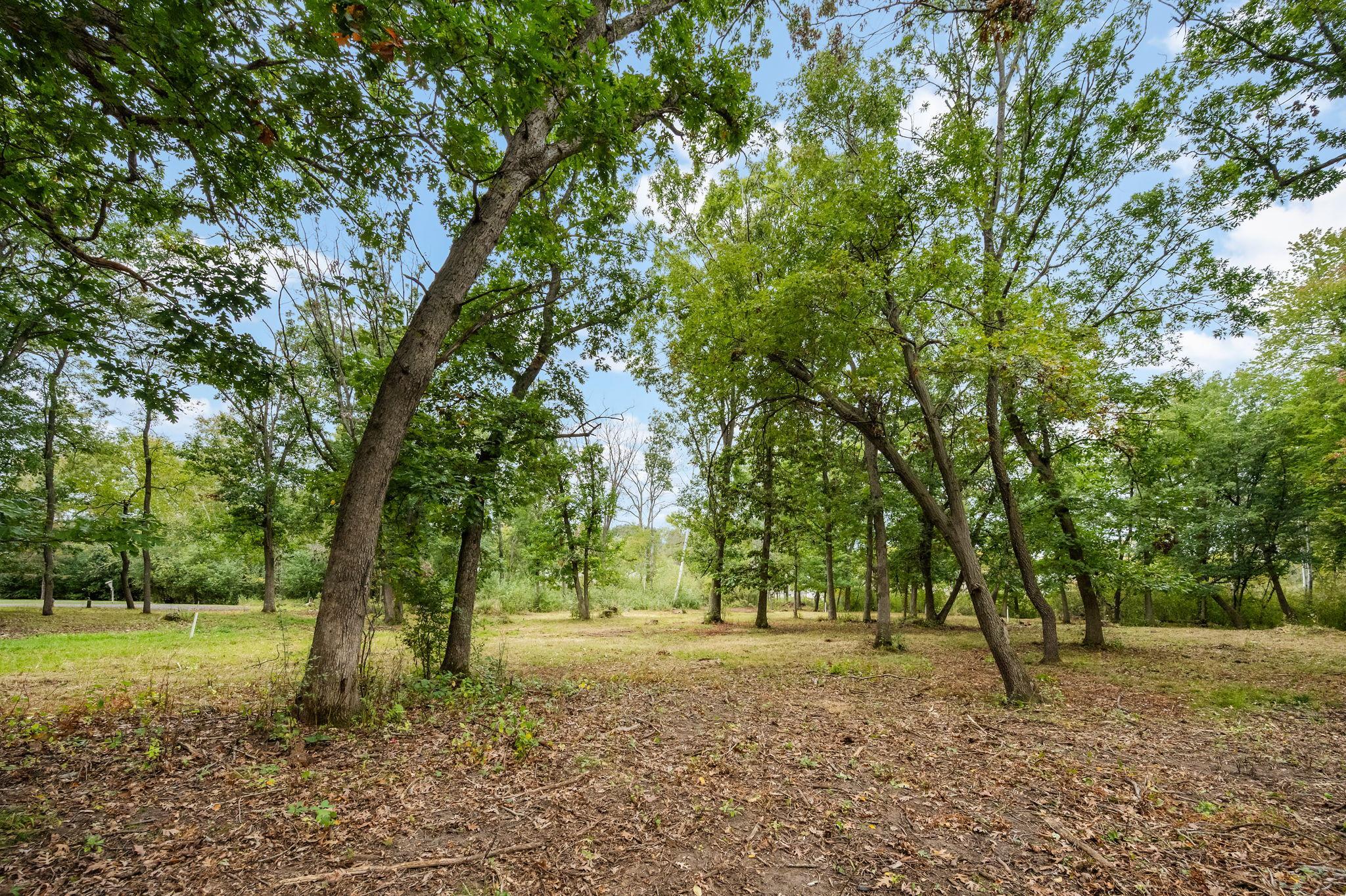 View of Land at 56XX Heather Ridge Court, Shoreview MN 55126, Shoreview (19 of 25) - Mike Wilen | Minnesota Team Real Estate