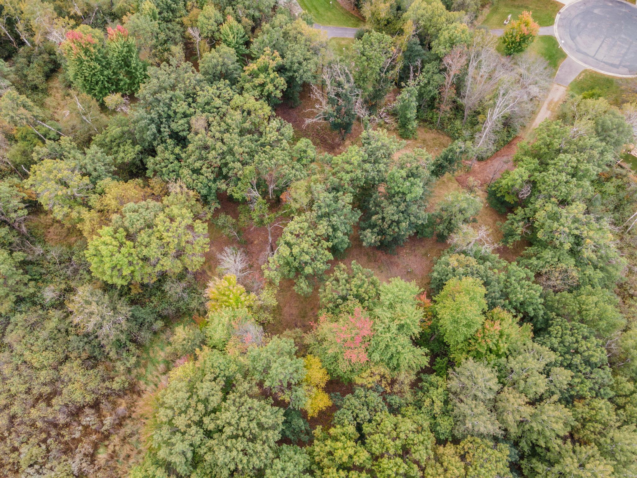 View of Land at 56XX Heather Ridge Court, Shoreview MN 55126, Shoreview (12 of 25) - Mike Wilen | Minnesota Team Real Estate