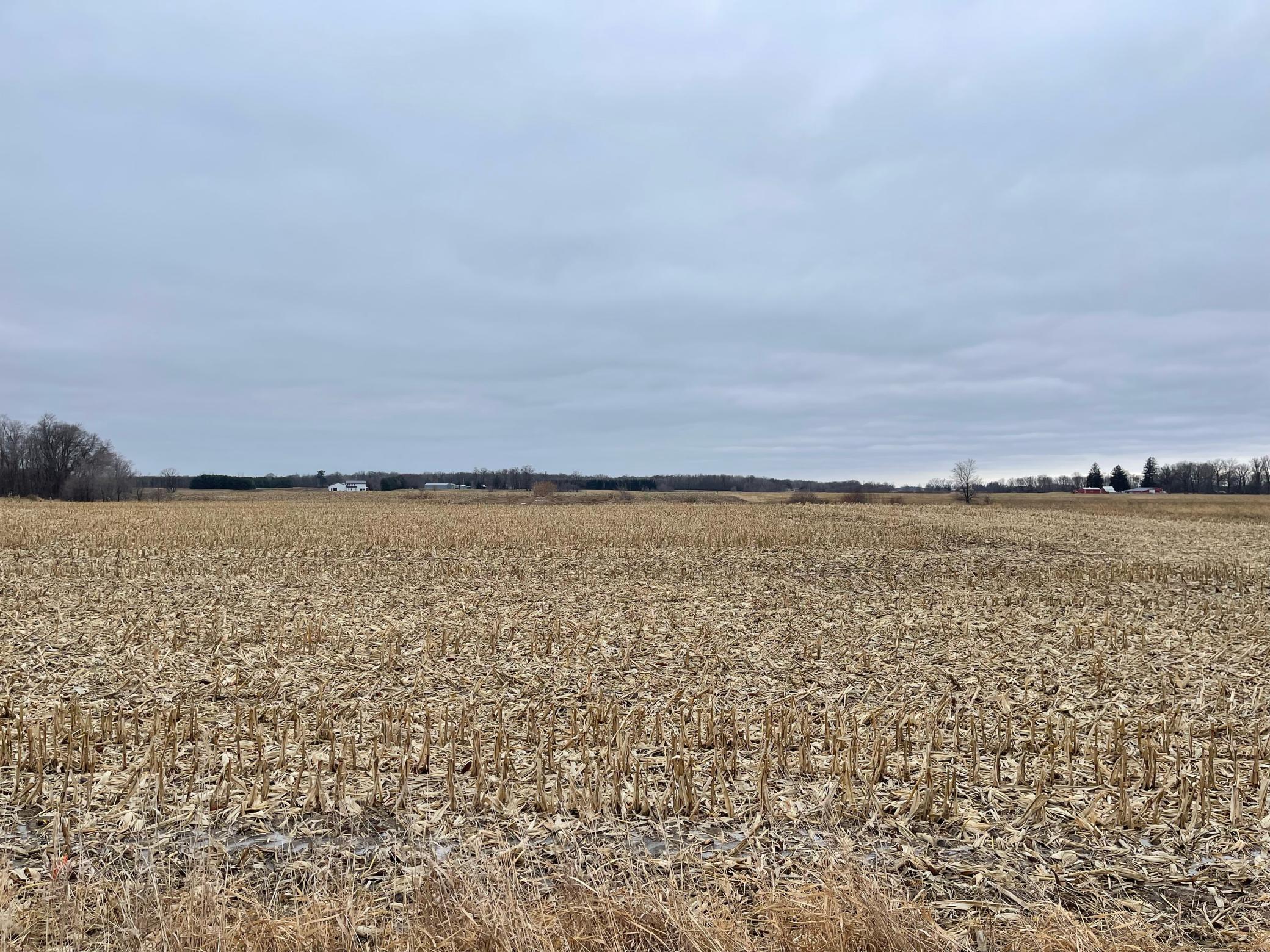 View of Land at XXX 80th St Parcel C, Princeton MN 55371, Princeton - Mike Wilen | Minnesota Team Real Estate