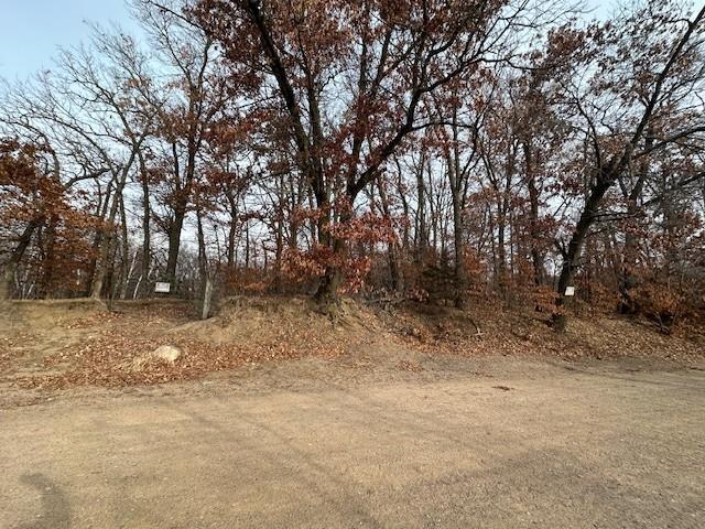 View of Land at XXXX 273rd Ave, Livonia Twp MN 55330, Livonia Twp (2 of 12) - Mike Wilen | Minnesota Team Real Estate