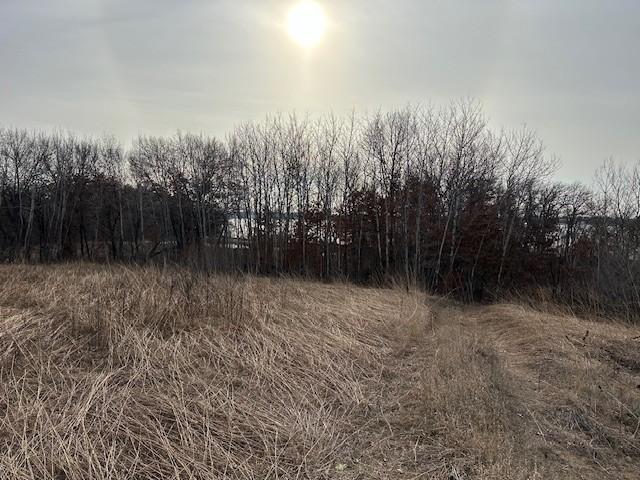 View of Land at XXXX 273rd Ave, Livonia Twp MN 55330, Livonia Twp (3 of 12) - Mike Wilen | Minnesota Team Real Estate
