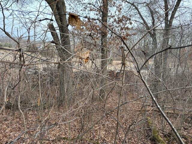 View of Land at XXXX 273rd Ave, Livonia Twp MN 55330, Livonia Twp (4 of 12) - Mike Wilen | Minnesota Team Real Estate