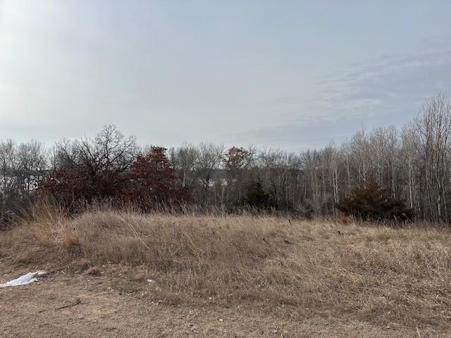 View of Land at XXXX 273rd Ave, Livonia Twp MN 55330, Livonia Twp (5 of 12) - Mike Wilen | Minnesota Team Real Estate