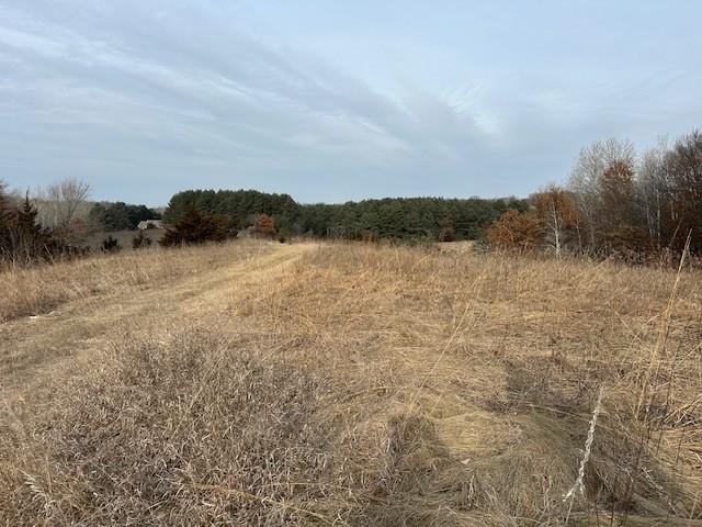 View of Land at XXXX 273rd Ave, Livonia Twp MN 55330, Livonia Twp (6 of 12) - Mike Wilen | Minnesota Team Real Estate