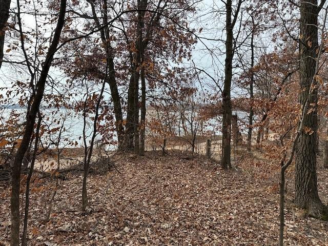 View of Land at XXXX 273rd Ave, Livonia Twp MN 55330, Livonia Twp (7 of 12) - Mike Wilen | Minnesota Team Real Estate