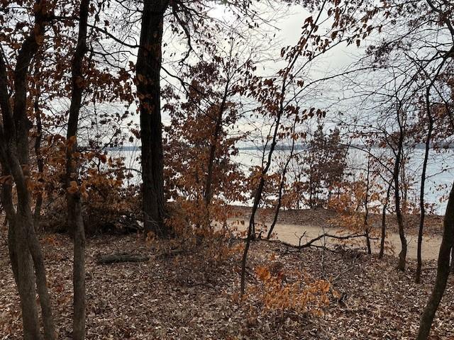 View of Land at XXXX 273rd Ave, Livonia Twp MN 55330, Livonia Twp (8 of 12) - Mike Wilen | Minnesota Team Real Estate