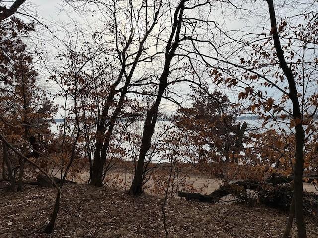 View of Land at XXXX 273rd Ave, Livonia Twp MN 55330, Livonia Twp (9 of 12) - Mike Wilen | Minnesota Team Real Estate