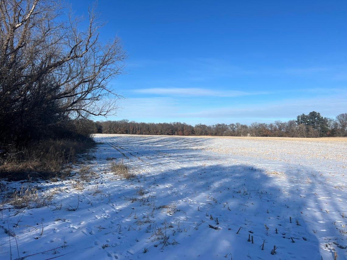 View of Land at 000 217th Avenue, East Bethel MN 55011, East Bethel - Mike Wilen | Minnesota Team Real Estate