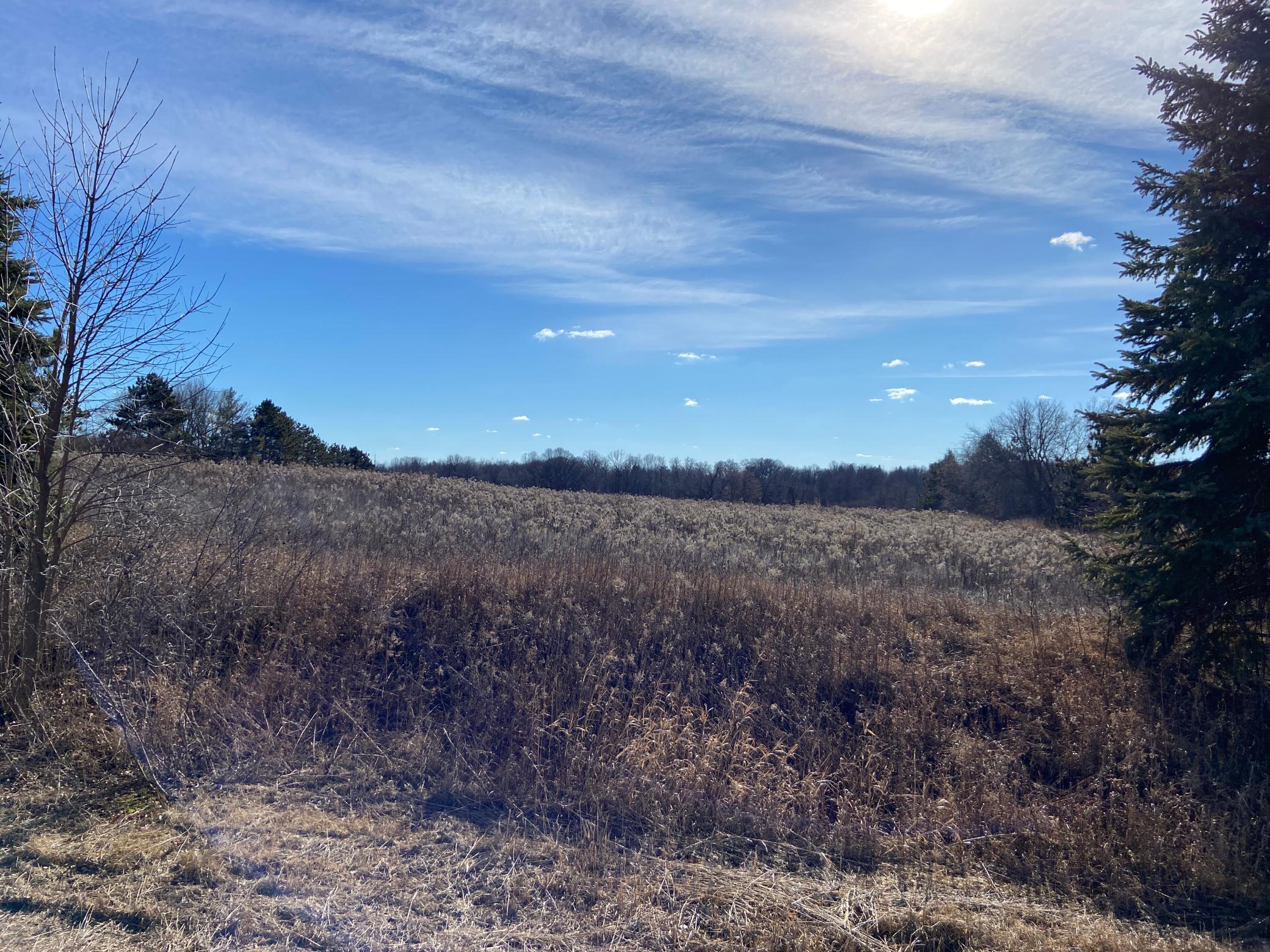View of Land at 31639 Park Trail, Center City MN 55012, Center City - Mike Wilen | Minnesota Team Real Estate
