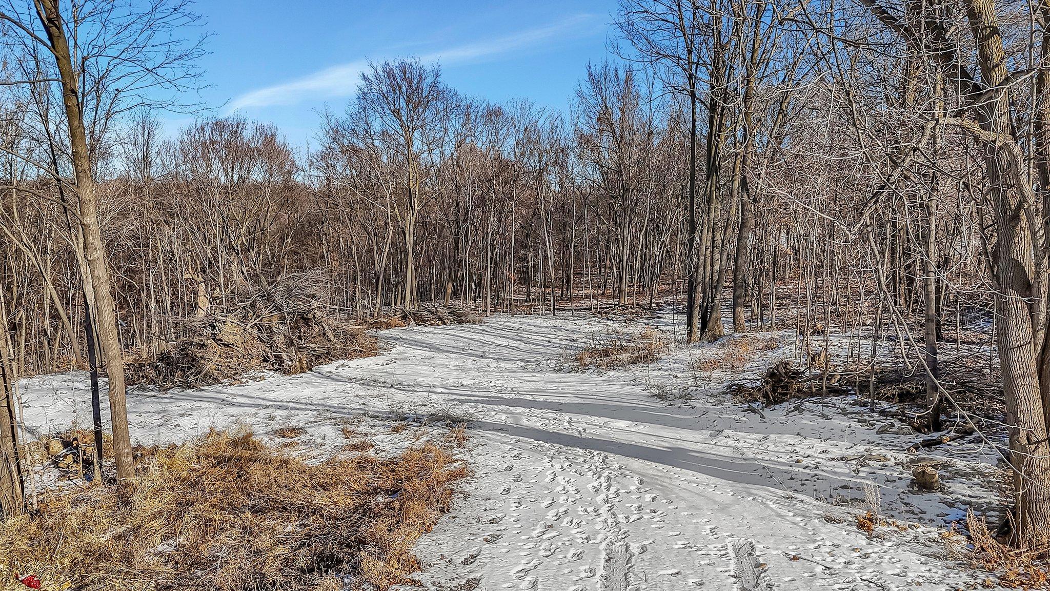 View of Land at XXXX Kimball Ave NW, Annandale MN 55302, Annandale - Mike Wilen | Minnesota Team Real Estate