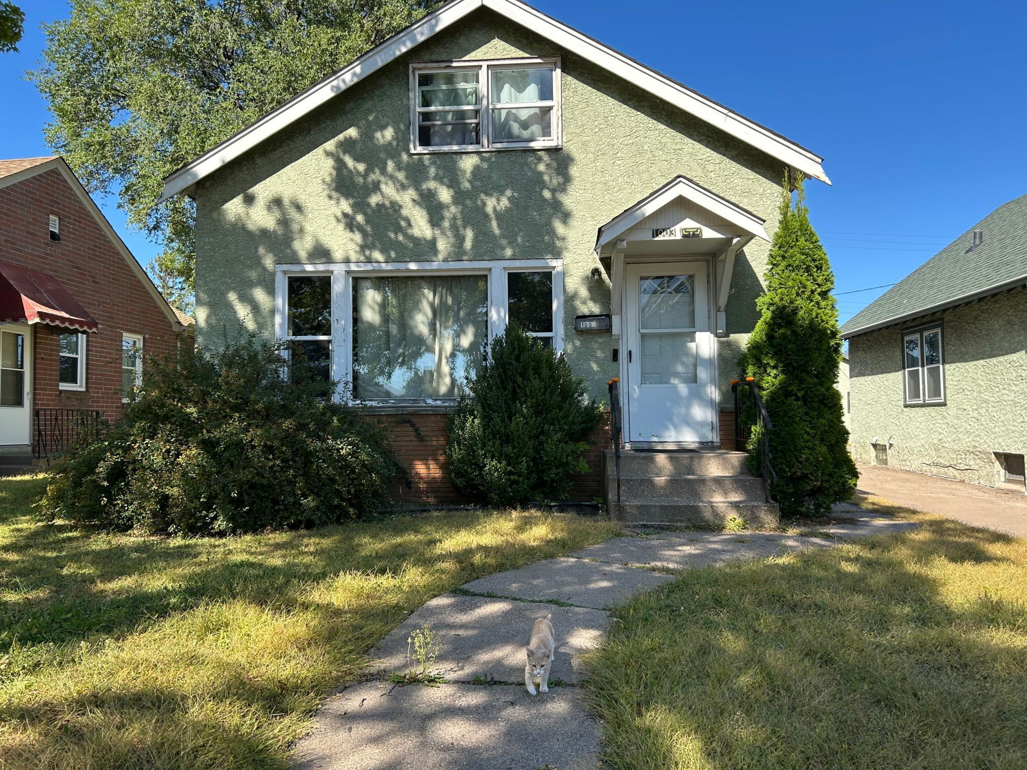 View of Residential at 1003 Minnehaha Avenue, Saint Paul MN 55104, Saint Paul - Mike Wilen | Minnesota Team Real Estate