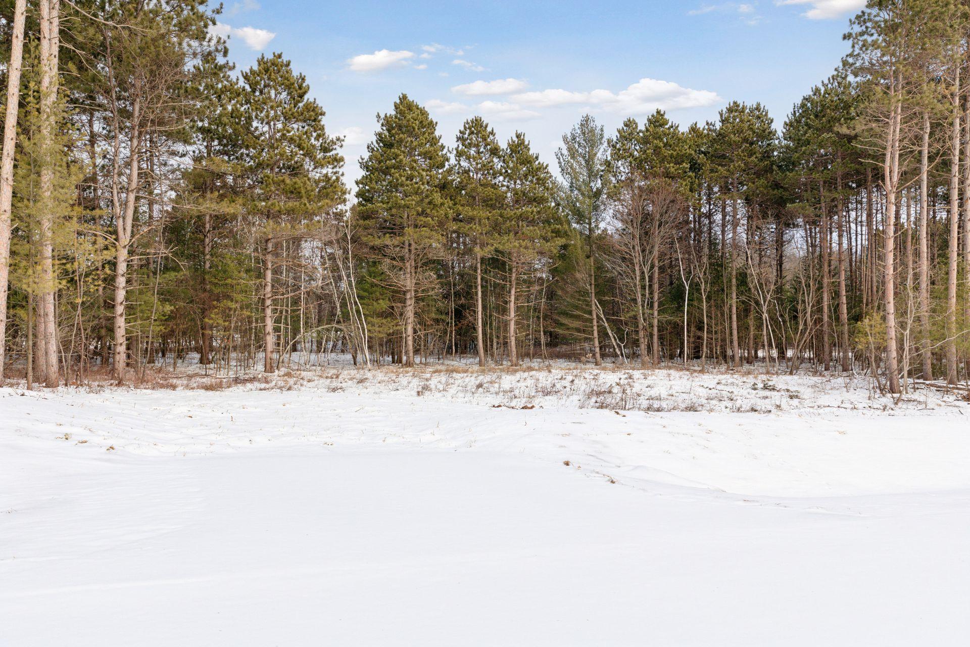View of Land at XXX (Lot 1) 317th Court, Cambridge MN 55008, Cambridge - Mike Wilen | Minnesota Team Real Estate