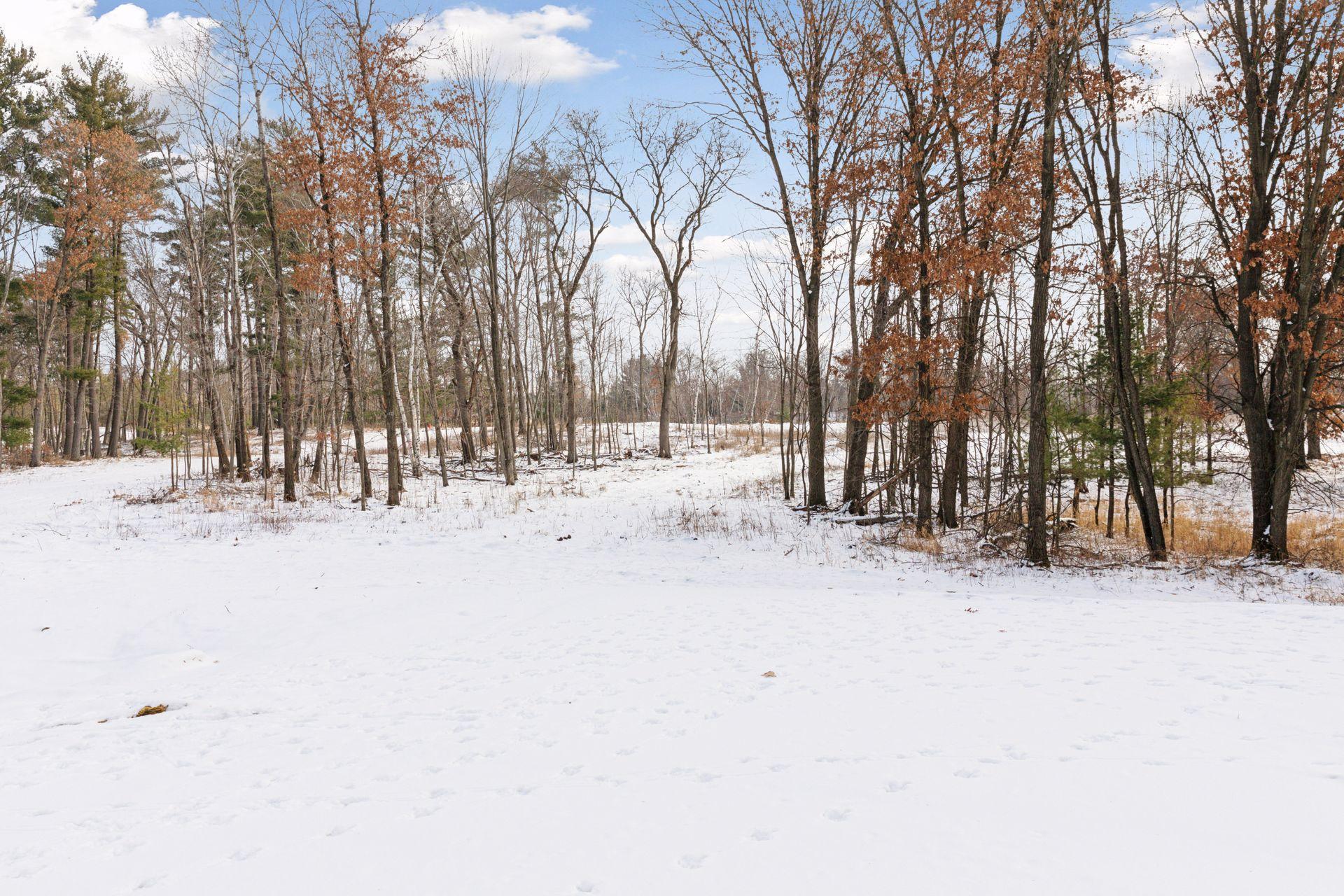 View of Land at XXX (Lot 6) 317th Court, Cambridge MN 55008, Cambridge - Mike Wilen | Minnesota Team Real Estate