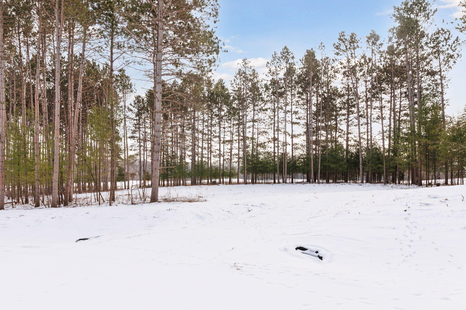 View of Land at XXX (Lot 8) 317th Court, Cambridge MN 55008, Cambridge - Mike Wilen | Minnesota Team Real Estate
