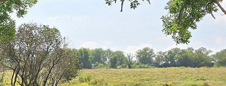 View of Land at 13230 162nd Avenue, Foreston MN 56330, Foreston - Mike Wilen | Minnesota Team Real Estate