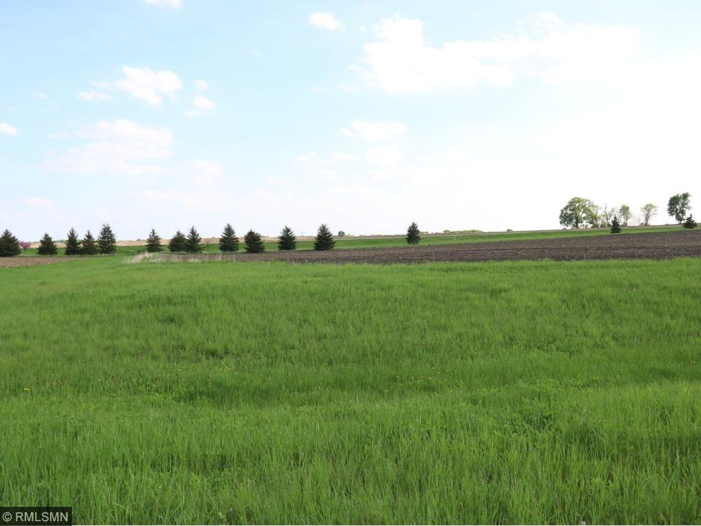 View of Land at 29957 Prairie Sage Lane, Le Sueur MN 56058, Le Sueur - Mike Wilen | Minnesota Team Real Estate