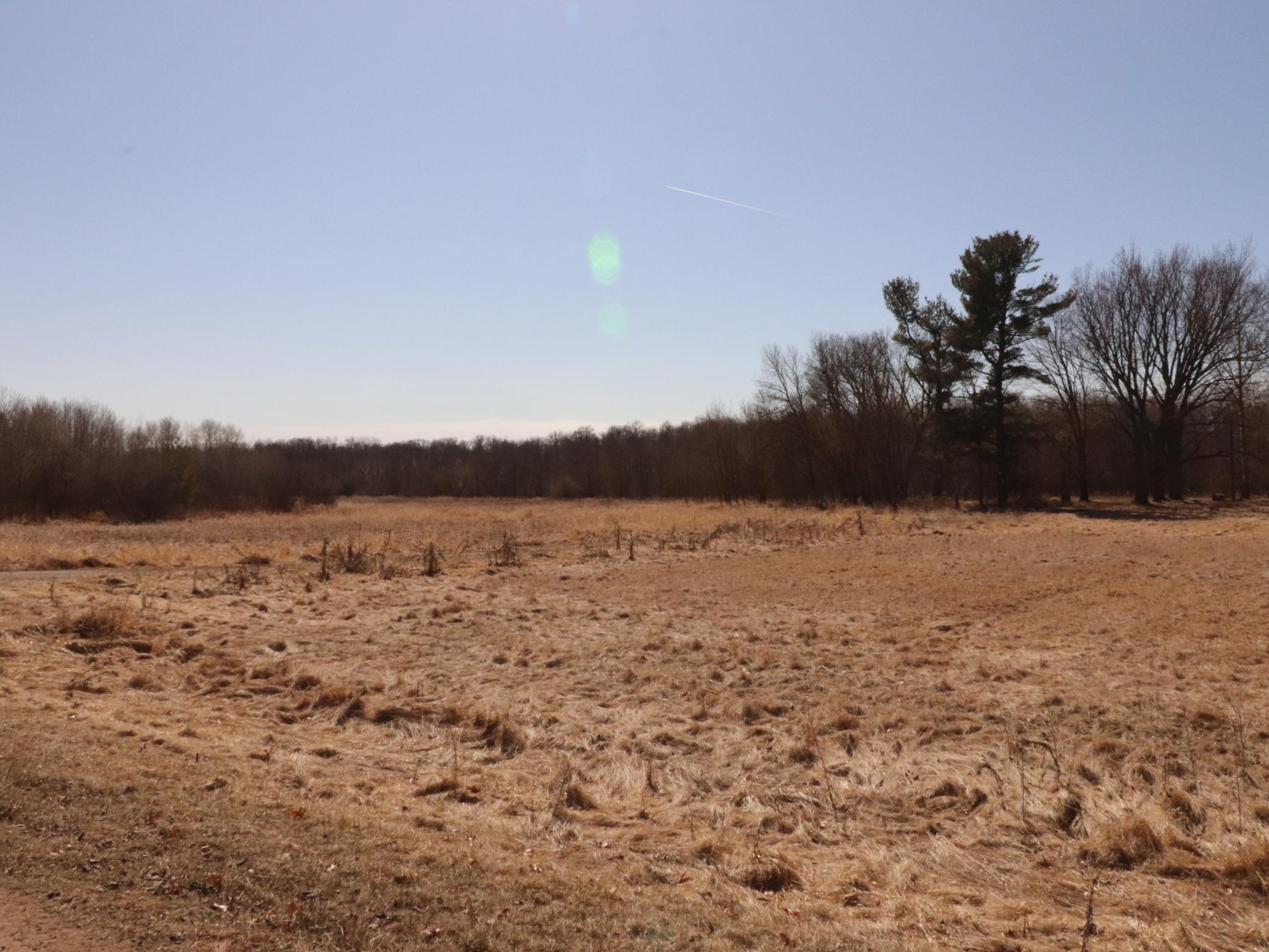 View of Land at 40350 Jivaro Street, Braham MN 55006, Braham - Mike Wilen | Minnesota Team Real Estate