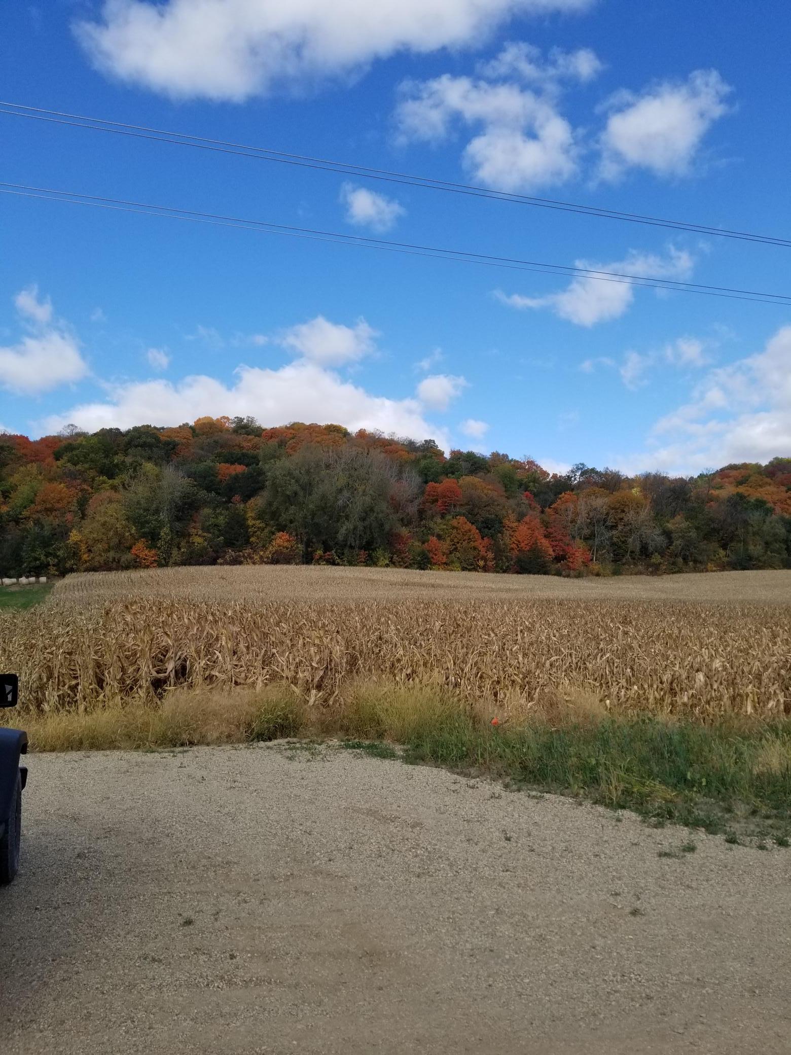 View of Land at TBD Scenic Byway Road, Henderson MN 56044, Henderson (11 of 12) - Mike Wilen | Minnesota Team Real Estate