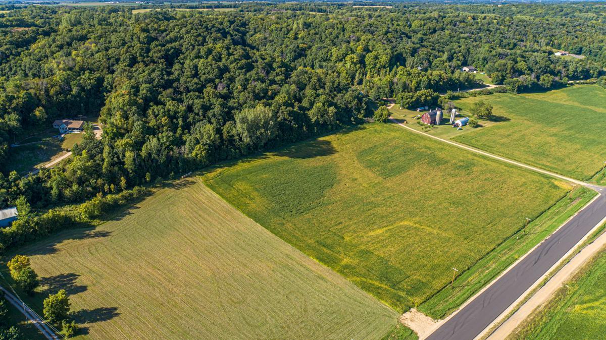 View of Land at TBD Scenic Byway Road, Henderson MN 56044, Henderson (9 of 12) - Mike Wilen | Minnesota Team Real Estate