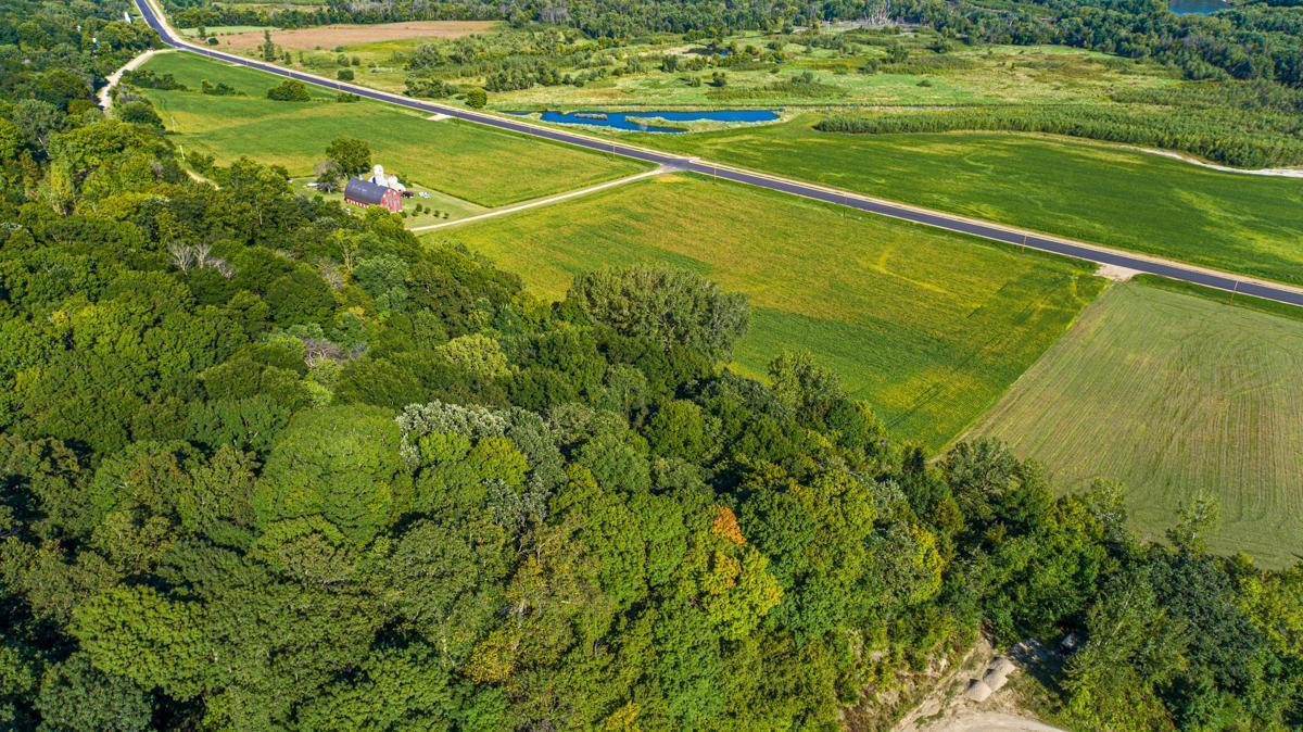View of Land at TBD Scenic Byway Road, Henderson MN 56044, Henderson (8 of 12) - Mike Wilen | Minnesota Team Real Estate