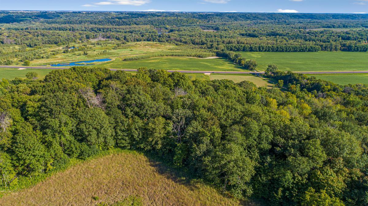 View of Land at TBD Scenic Byway Road, Henderson MN 56044, Henderson (7 of 12) - Mike Wilen | Minnesota Team Real Estate