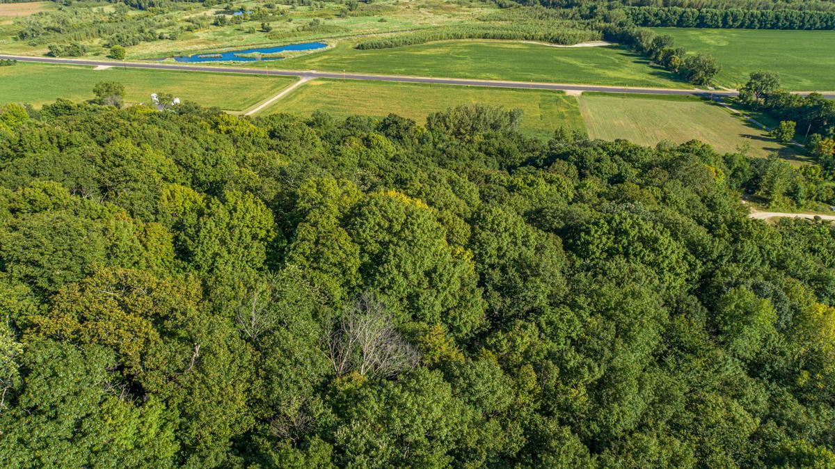 View of Land at TBD Scenic Byway Road, Henderson MN 56044, Henderson (6 of 12) - Mike Wilen | Minnesota Team Real Estate