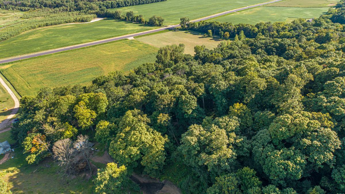 View of Land at TBD Scenic Byway Road, Henderson MN 56044, Henderson (5 of 12) - Mike Wilen | Minnesota Team Real Estate