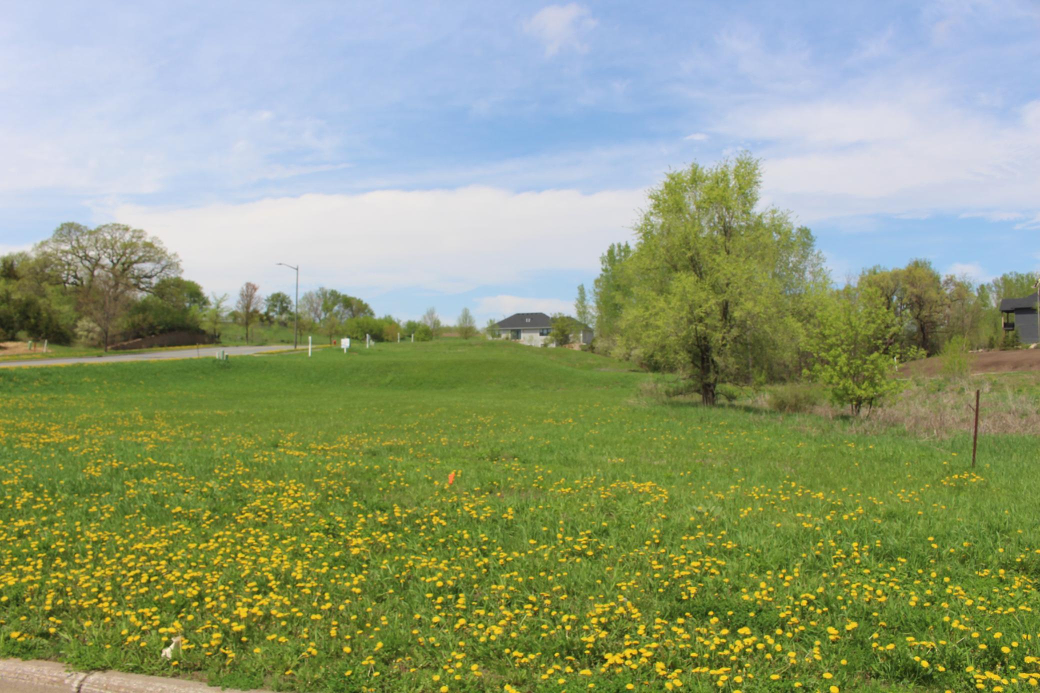 View of Land at 1780 River Shore Drive, Hastings MN 55033, Hastings (4 of 32) - Mike Wilen | Minnesota Team Real Estate