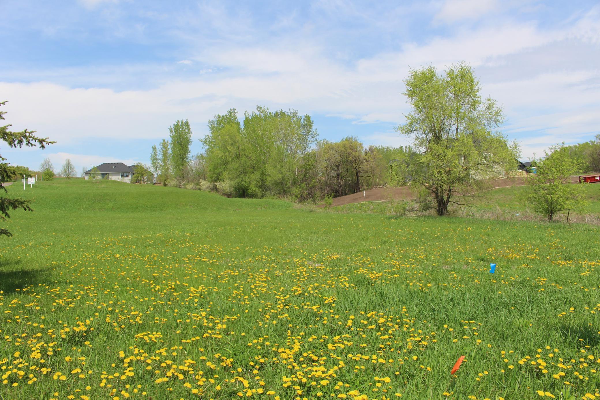View of Land at 1780 River Shore Drive, Hastings MN 55033, Hastings (9 of 32) - Mike Wilen | Minnesota Team Real Estate