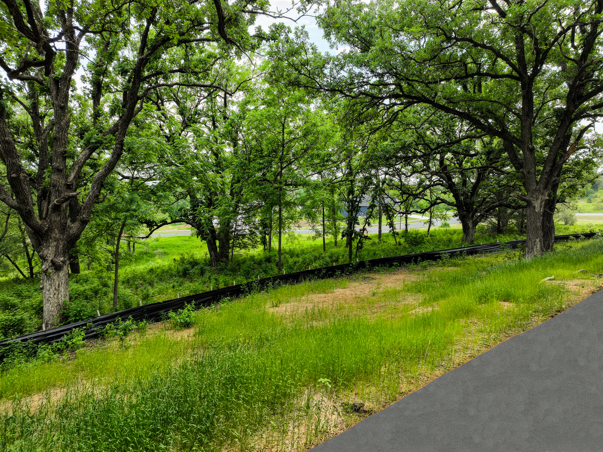View of Land at 1730 River Shore Drive, Hastings MN 55033, Hastings - Mike Wilen | Minnesota Team Real Estate