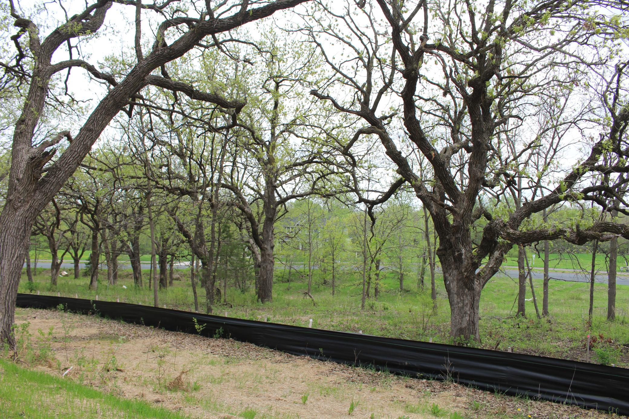 View of Land at 1730 River Shore Drive, Hastings MN 55033, Hastings (8 of 16) - Mike Wilen | Minnesota Team Real Estate