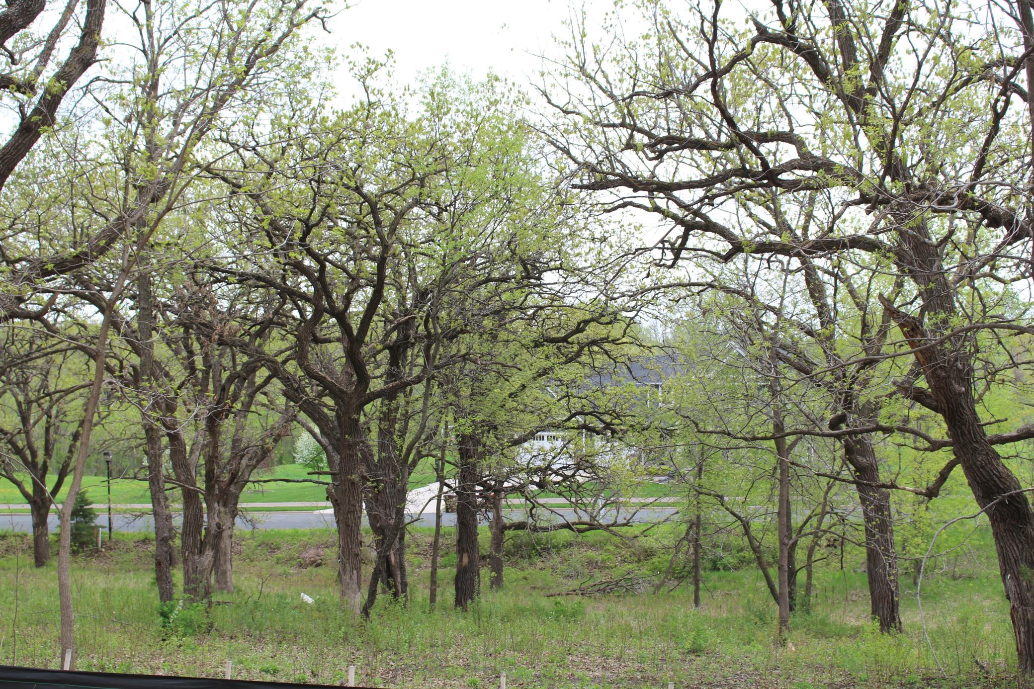 View of Land at 1730 River Shore Drive, Hastings MN 55033, Hastings (9 of 16) - Mike Wilen | Minnesota Team Real Estate