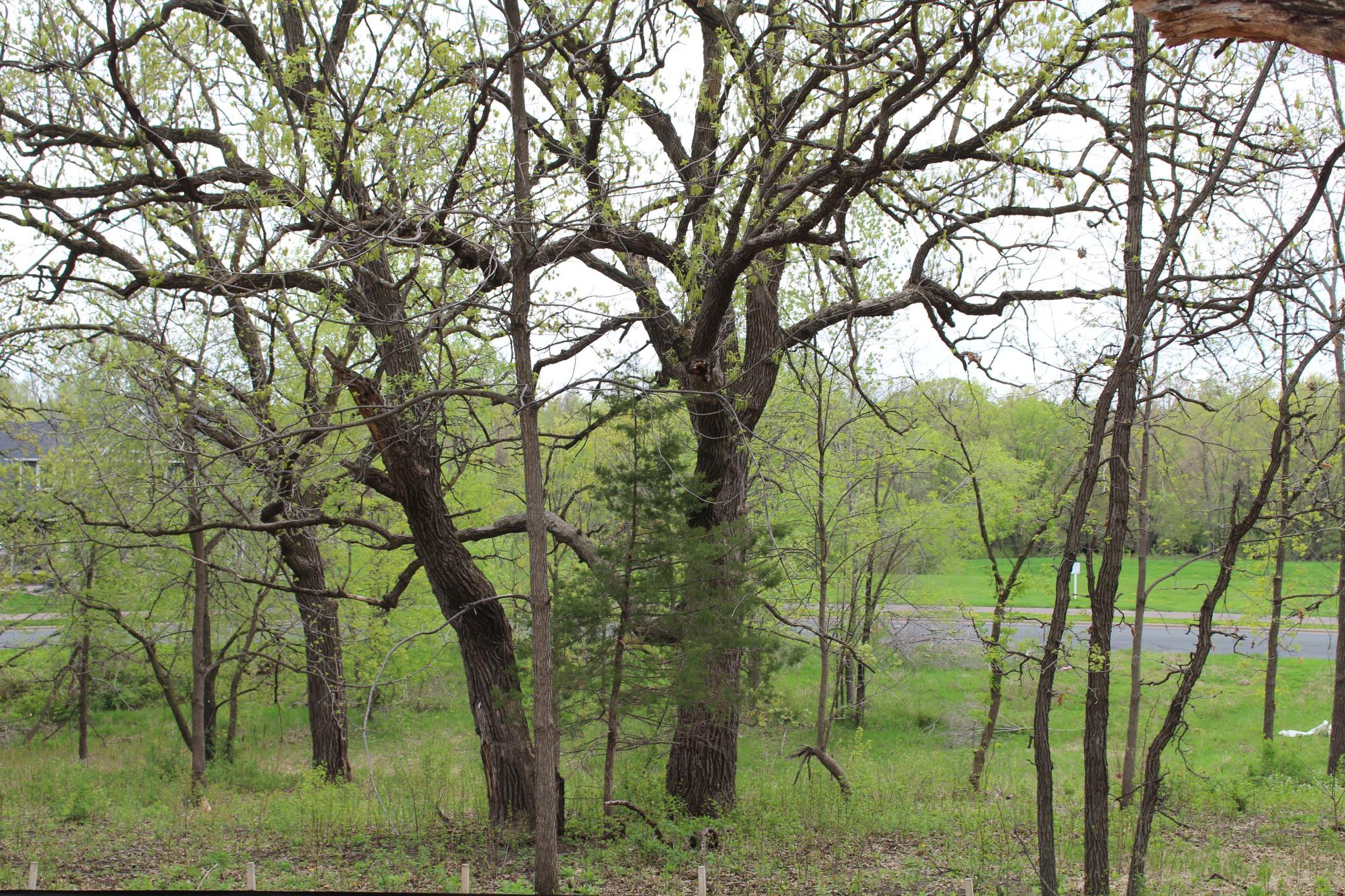 View of Land at 1730 River Shore Drive, Hastings MN 55033, Hastings (10 of 16) - Mike Wilen | Minnesota Team Real Estate